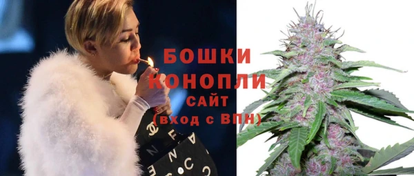 spice Барнаул