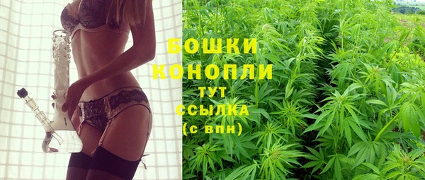 трава Куйбышев