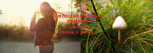прущие крисы Ижевск