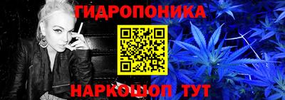 шишки Кунгур