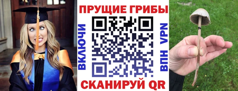 Галлюциногенные грибы MAGIC MUSHROOMS  Первоуральск 