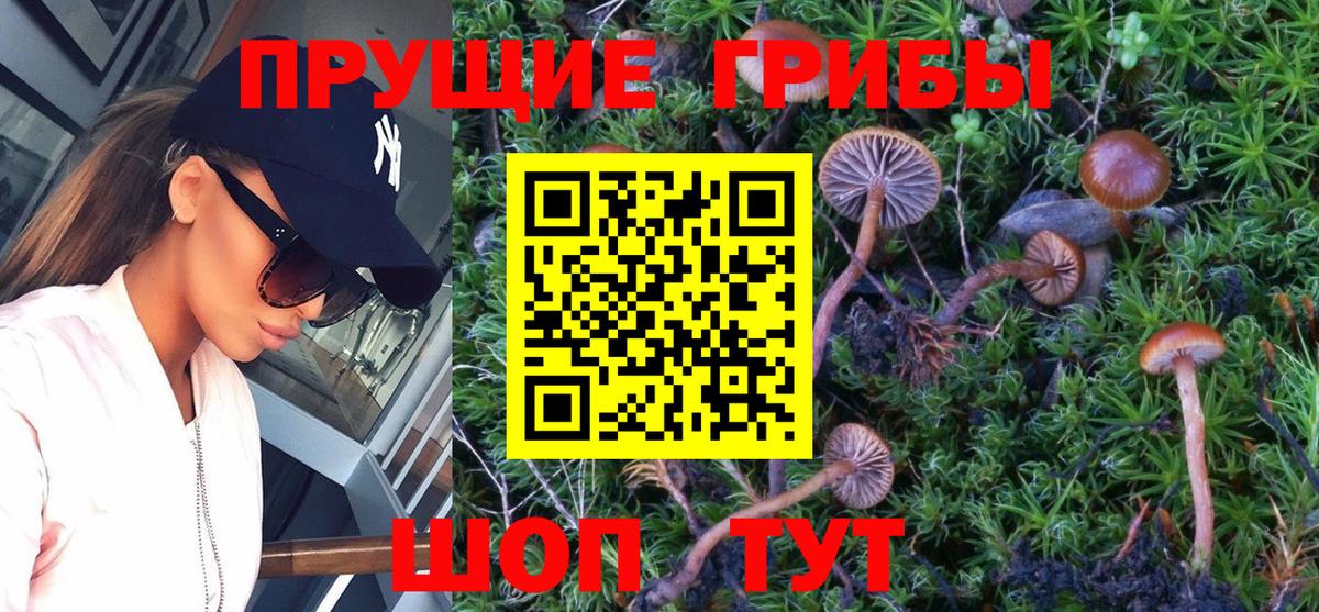 Псилоцибиновые грибы MAGIC MUSHROOMS Первоуральск